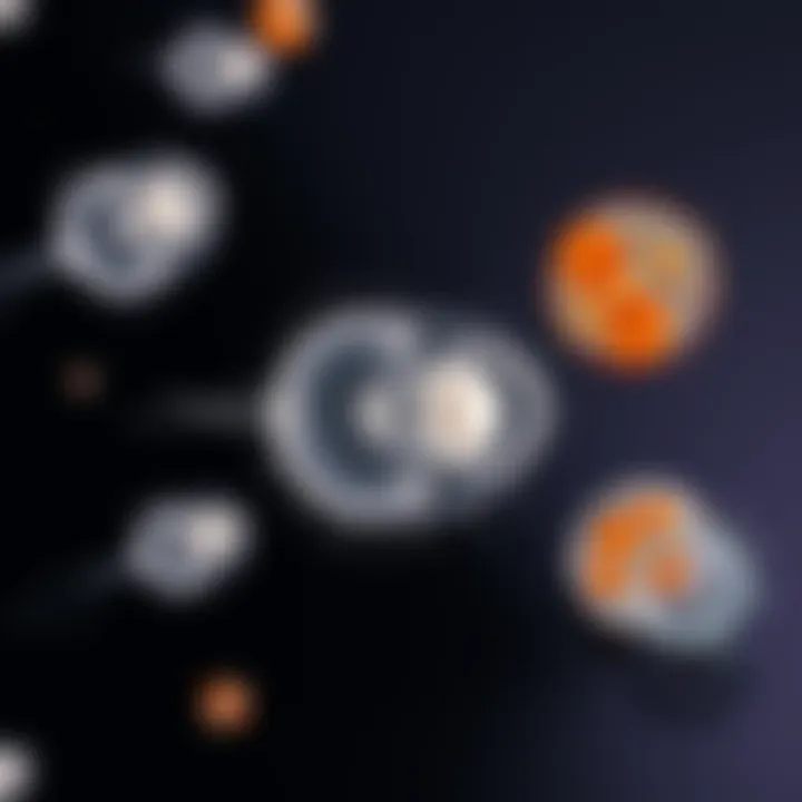 Representation of different protozoan species undergoing binary fission highlighting variations in the division process