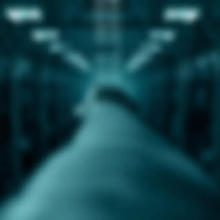 Code snippet showing recursive function to convert decimal numbers to binary in C programming