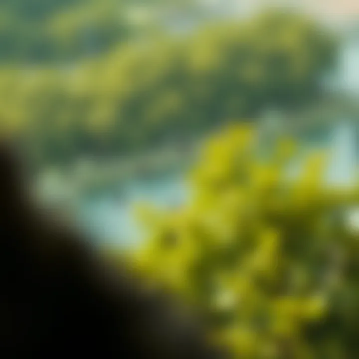 Dynamic Programming Approach for Building Optimal Binary Search Tree Flowchart illustrating the dynamic programming approach to constructing an optimal binary search tree