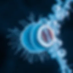 Microscopic view of a Paramecium cell undergoing binary fission illustrating division into two daughter cells