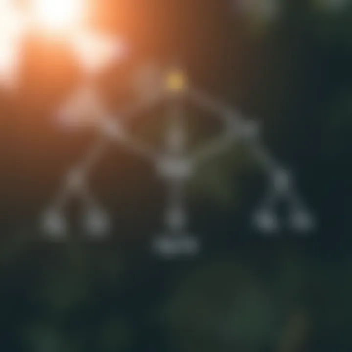 Diagram showing a binary tree structure with nodes connected by branches