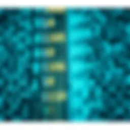 Diagram illustrating the binary search algorithm dividing a sorted list into halves