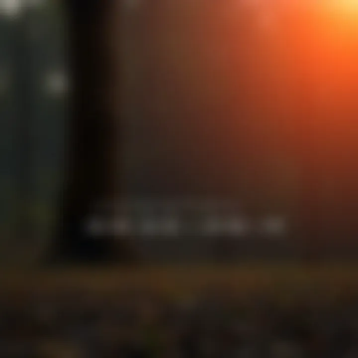 Diagram showing algorithmic traversal to extract the left side view from a binary tree