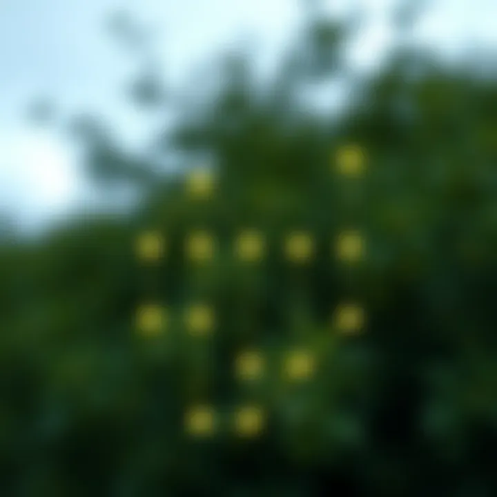 Diagram illustrating the left view of a binary tree highlighting visible nodes from the left side
