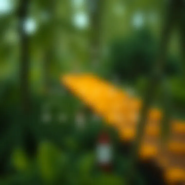 Sequential Level Order Traversal in Binary Trees Diagram demonstrating the level order traversal path through a binary tree highlighting each level sequentially