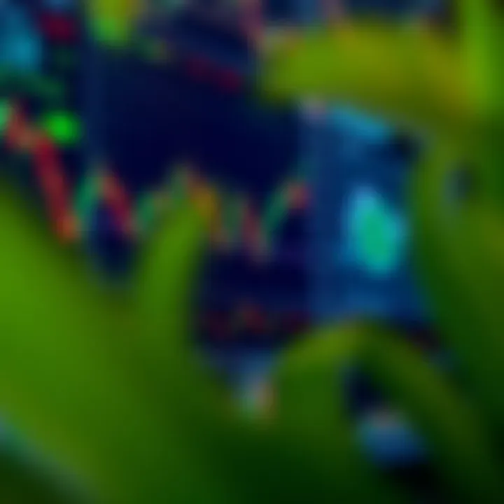 Real-time forex trading platform with currency charts and market data