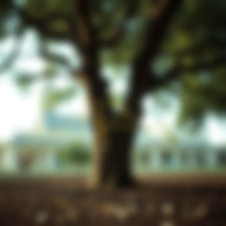 Understanding Maximum Depth in Binary Trees